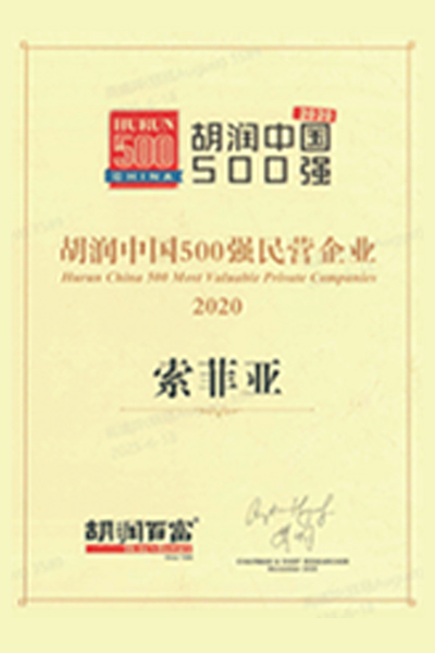 certificate-Hurun-China-500-Most-13