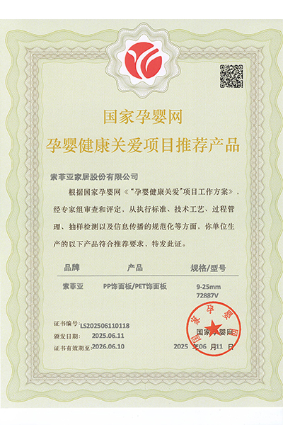 certificate-the National Maternal and Infant Network-10